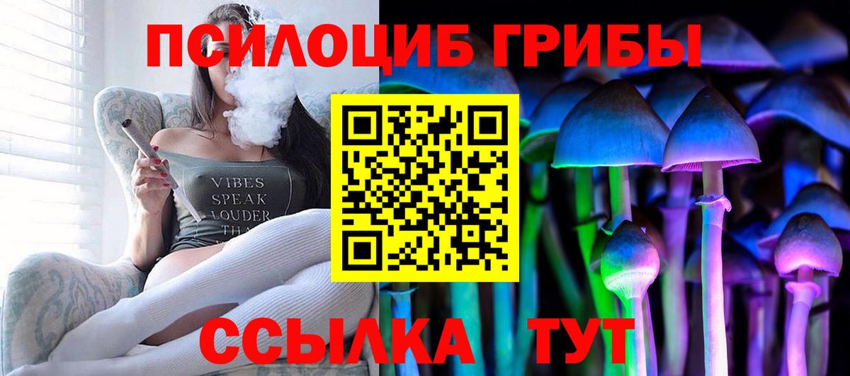 Камышин  Псилоцибиновые грибы MAGIC MUSHROOMS  Вход с VPN 