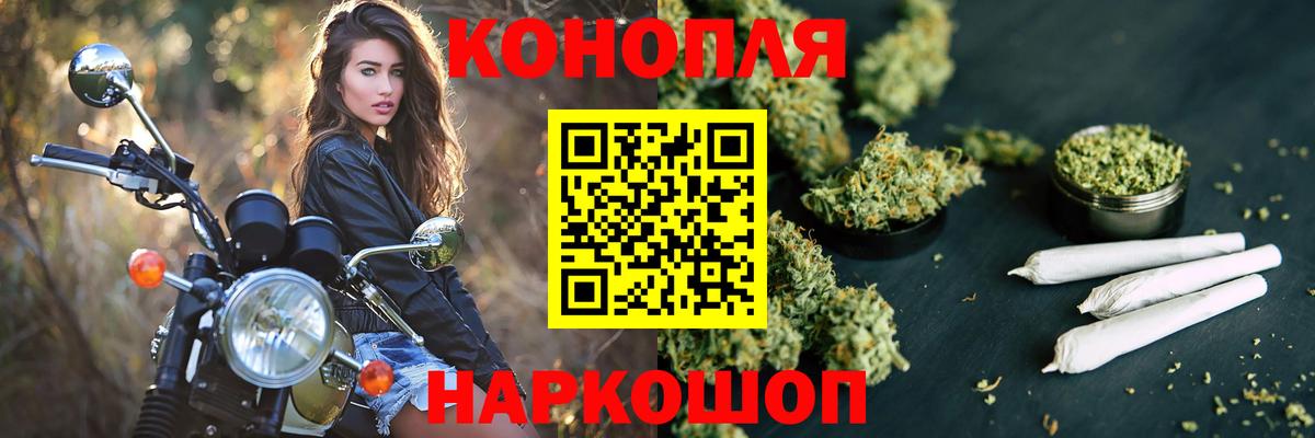 Канабис план Камышин